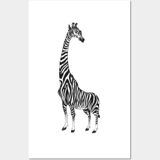 Giraffe Zebra Posters and Art